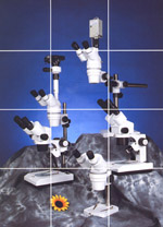 btic microscope.jpg (21379 bytes)